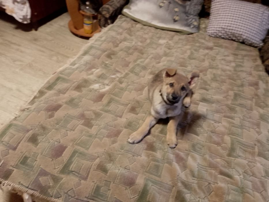 Хлопчик в добрі ручки!