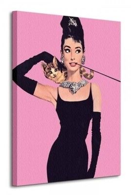 Obraz Audrey Hepburn z kotem