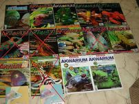 Magazyn Akwarium , Wasze Akwarium w sumie 10 sztuk