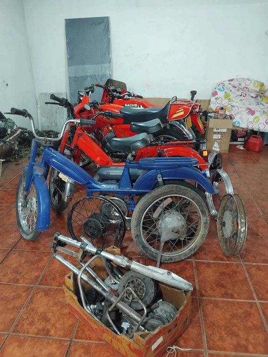 Motas sach, lotus e fuego