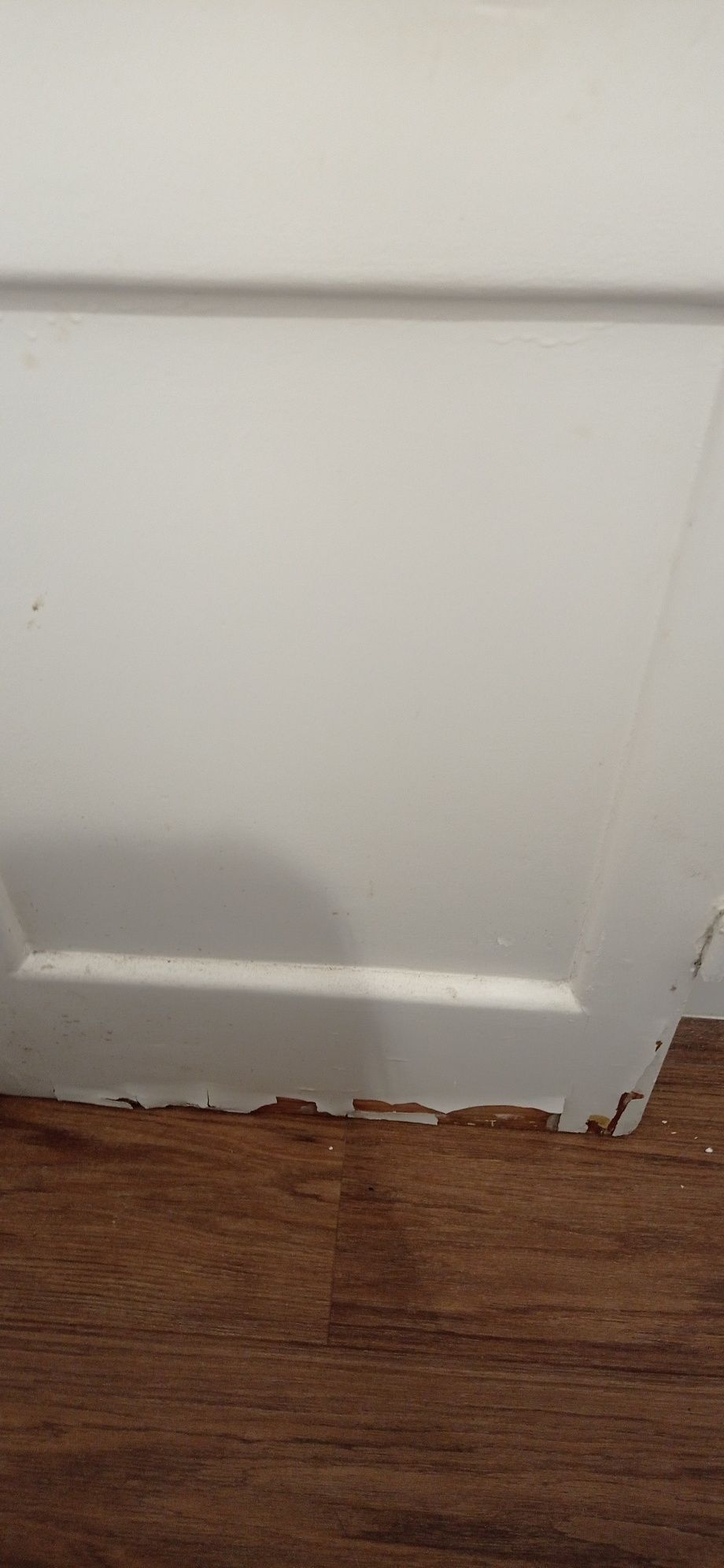Porta dupla interior antiga 214×90 cm – Grátis