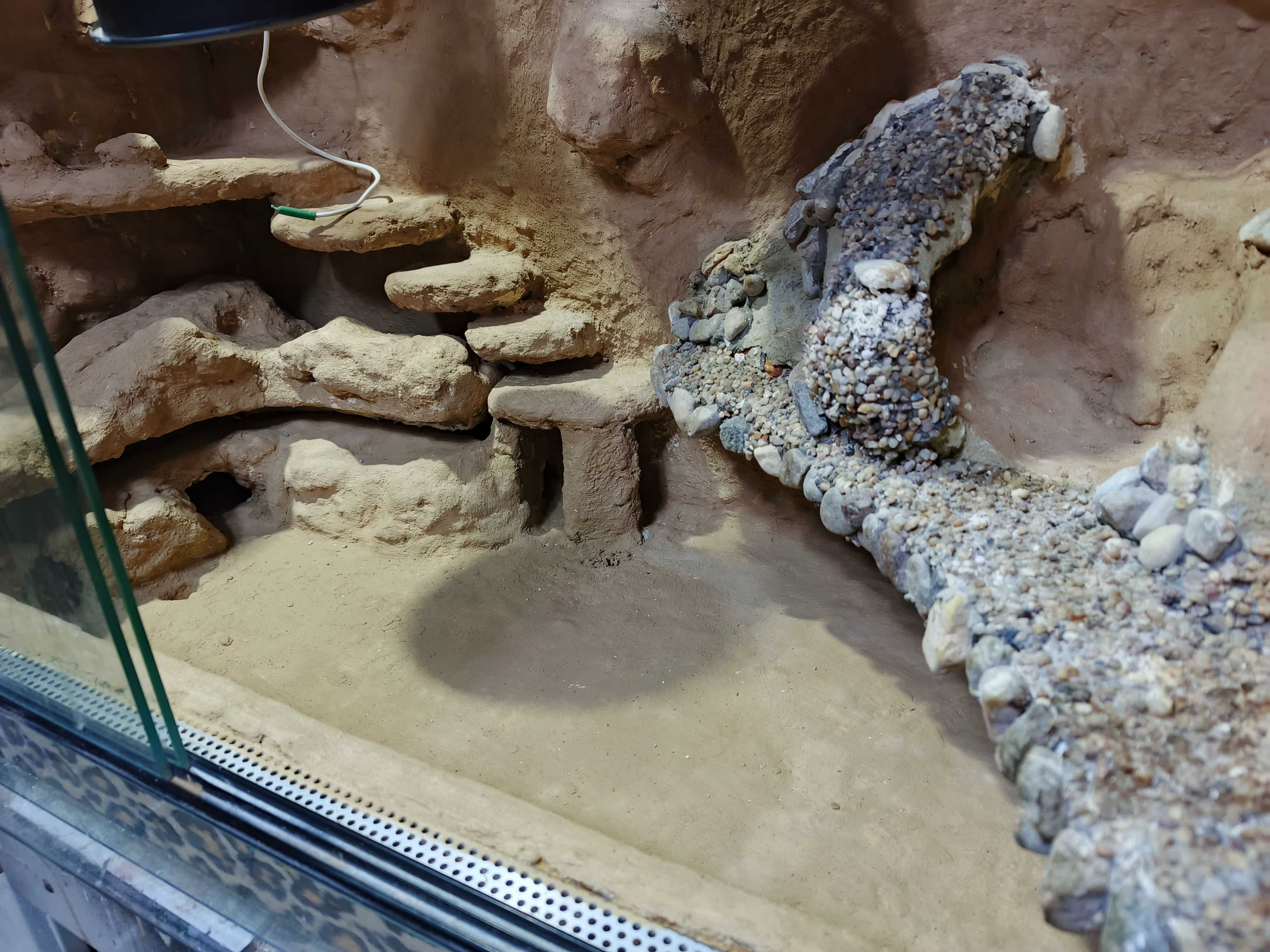 Terrarium wyposażone