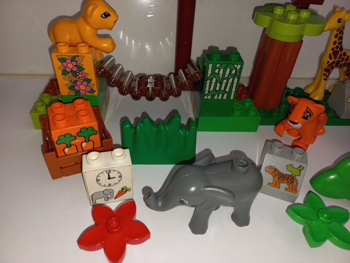 Miks klocków Lego Duplo zoo słoń tygrys żyrafa
