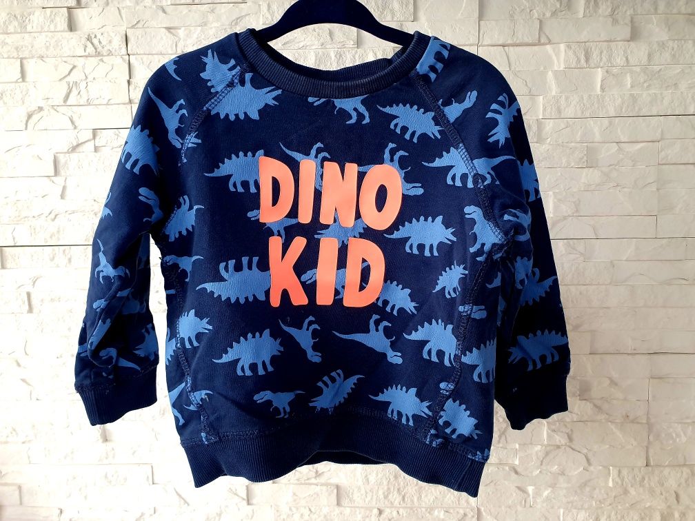 Bluza chłopięca dinozaury dino kid