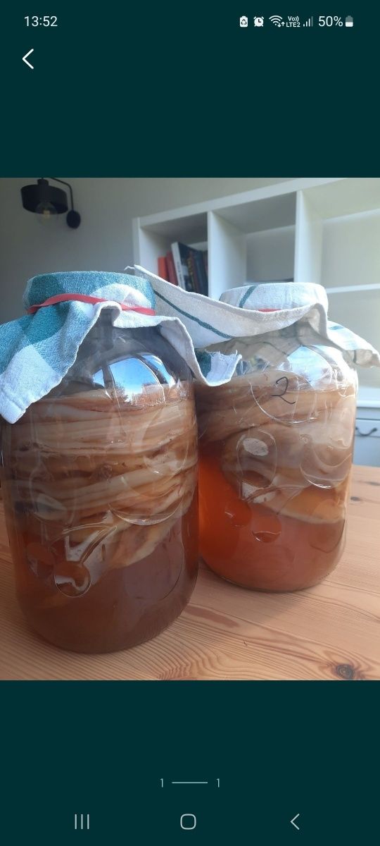 Kombucha (kombucza) grzybek herbaciany
ze starterem