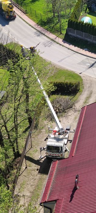 Wycinka pielęgnacja drzew z podnośnika 20 m 30m