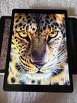 PIĘKNY iPad Pro 12,9" 2gen 256GB cellular szary