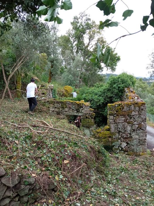 Ruína com terreno + terrenos agrícolas
