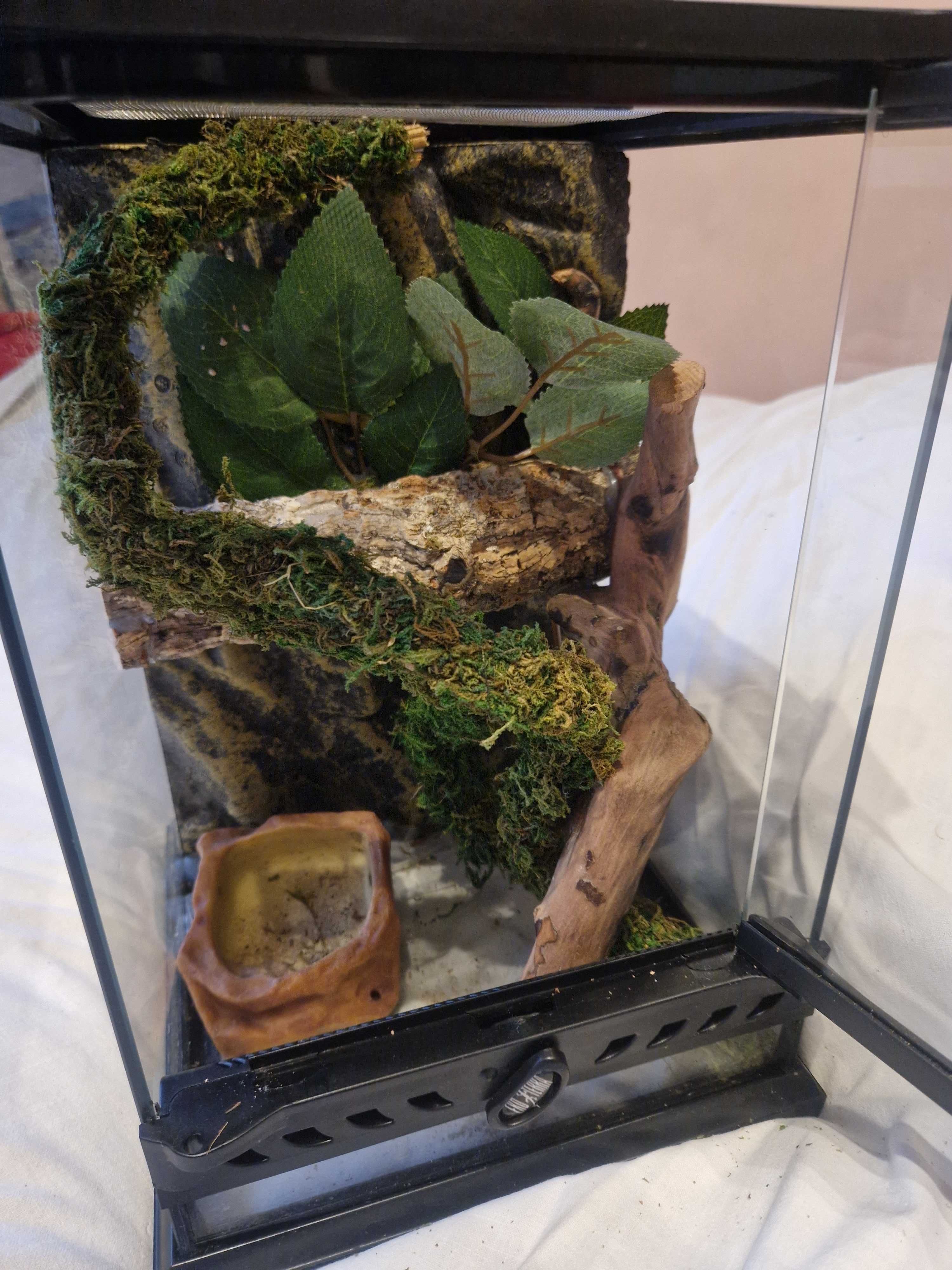 NOWE EXO-TERRA Terrarium szklane NANO TALL 20X20X30 cm