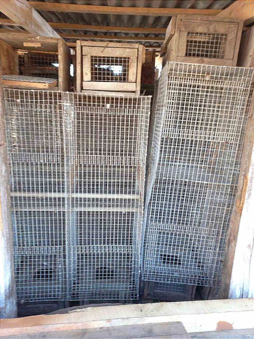 Клітки для кролів