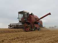 Bizon Rekord 1983r
