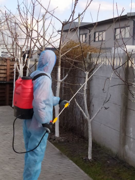 Стрижка рослин, посів газону, обрізка дерев