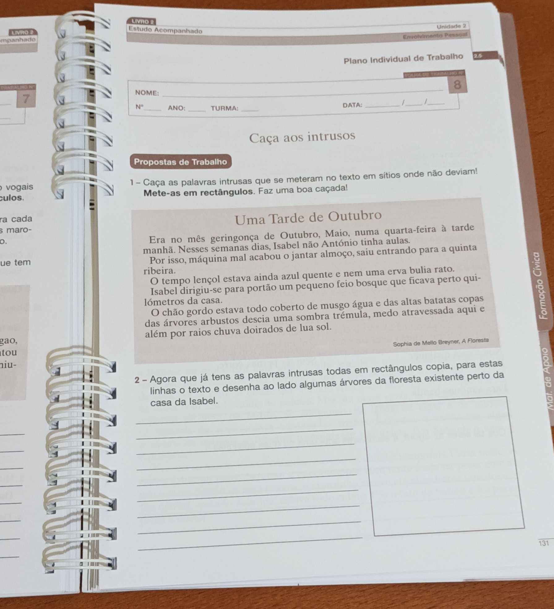 Práticas Pedagógicas 1.° Ciclo - Livro