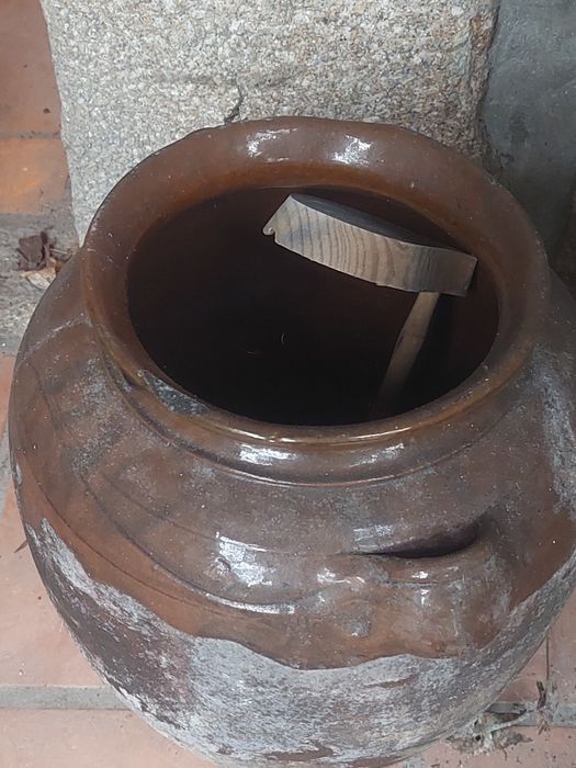 Pote para curtir azeitonas