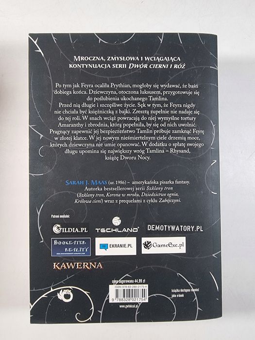 Dwór Mgieł i Furii / Sarah J. Maas