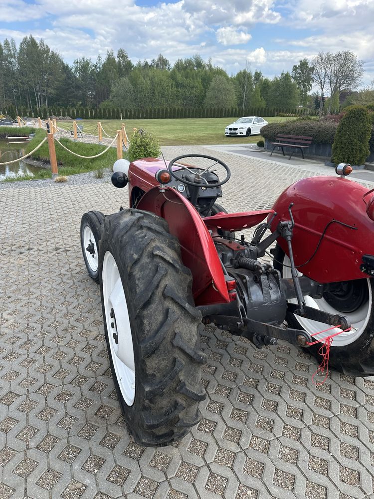 Sprzedam Massey ferguson