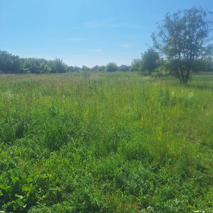 Продаж ділянки в Добрячині