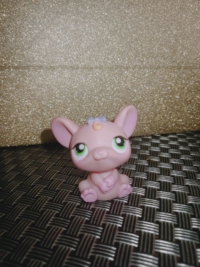 Myszka LPS Hasbro #303