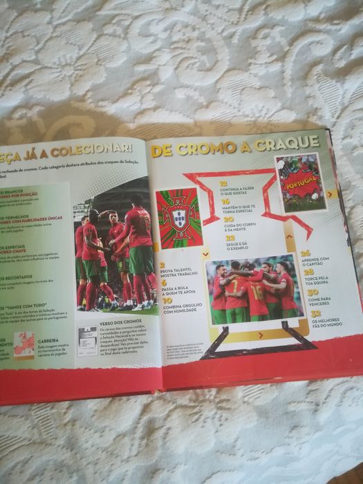 Panini Fome de vender caderneta completa