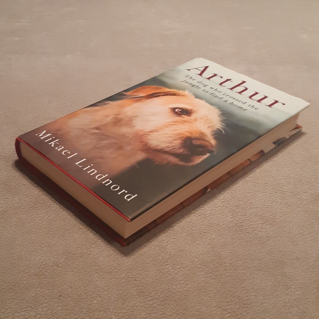M. Lindnord - Arthur książka PO ANGIELSKU angielski book
