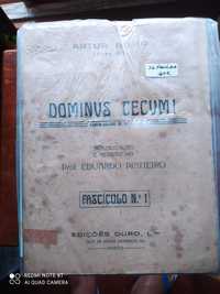 Dominus cecum 36 fasciculos