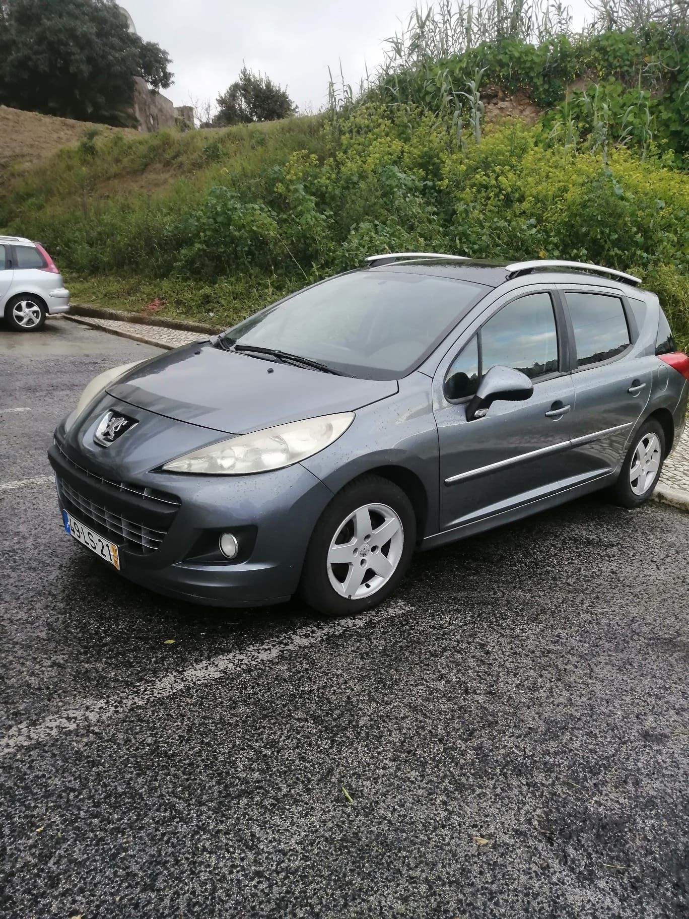Peugeot  207 SW [2011]