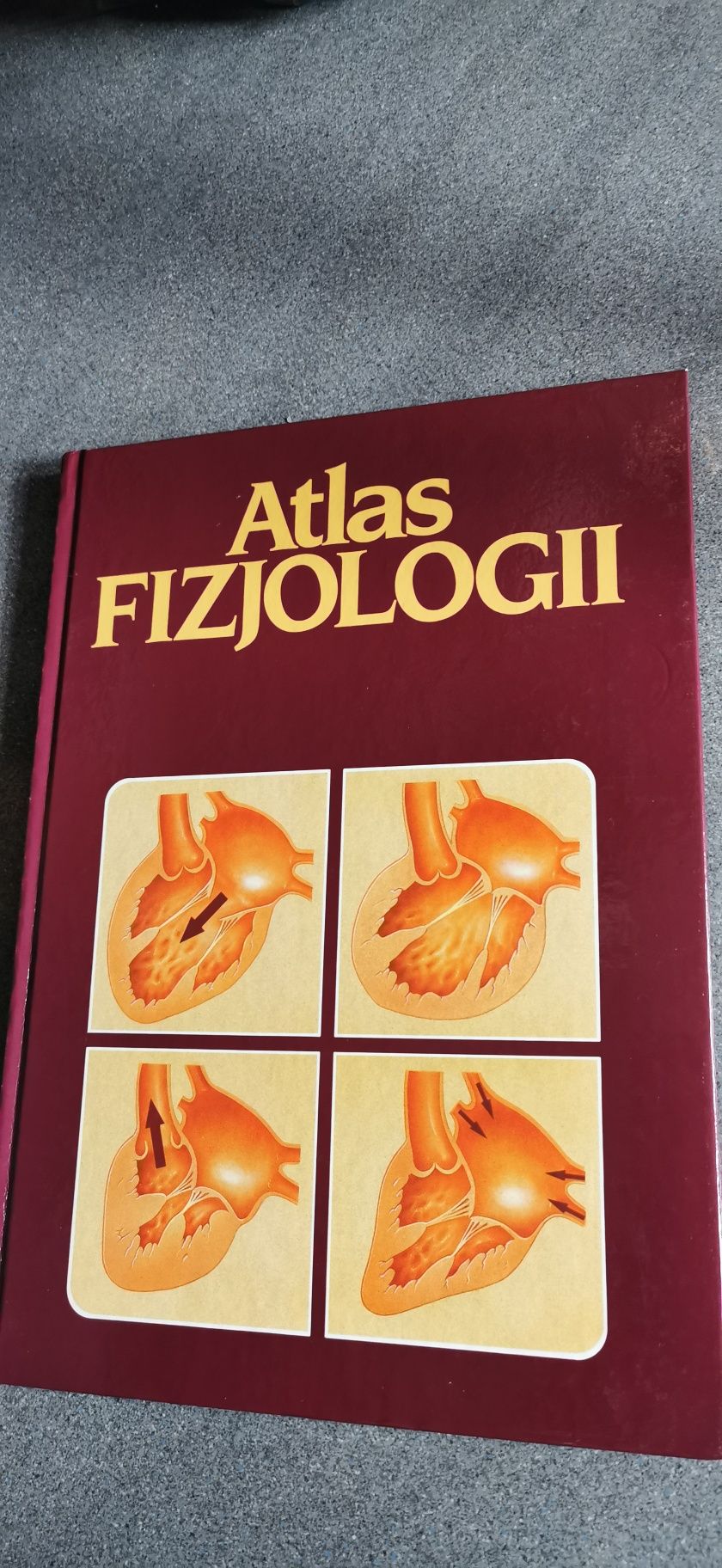 Atlas fizjologii Santiago Ferrandiz
