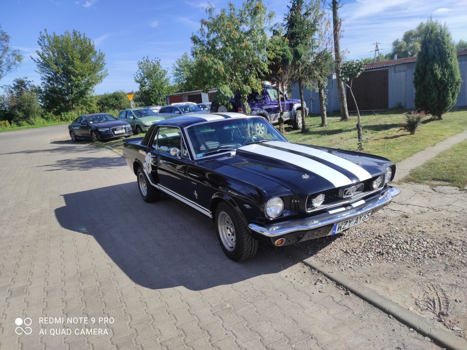 Mustang V8 na wesele ślub przyjęcie kawalerskie wynajem imprezy