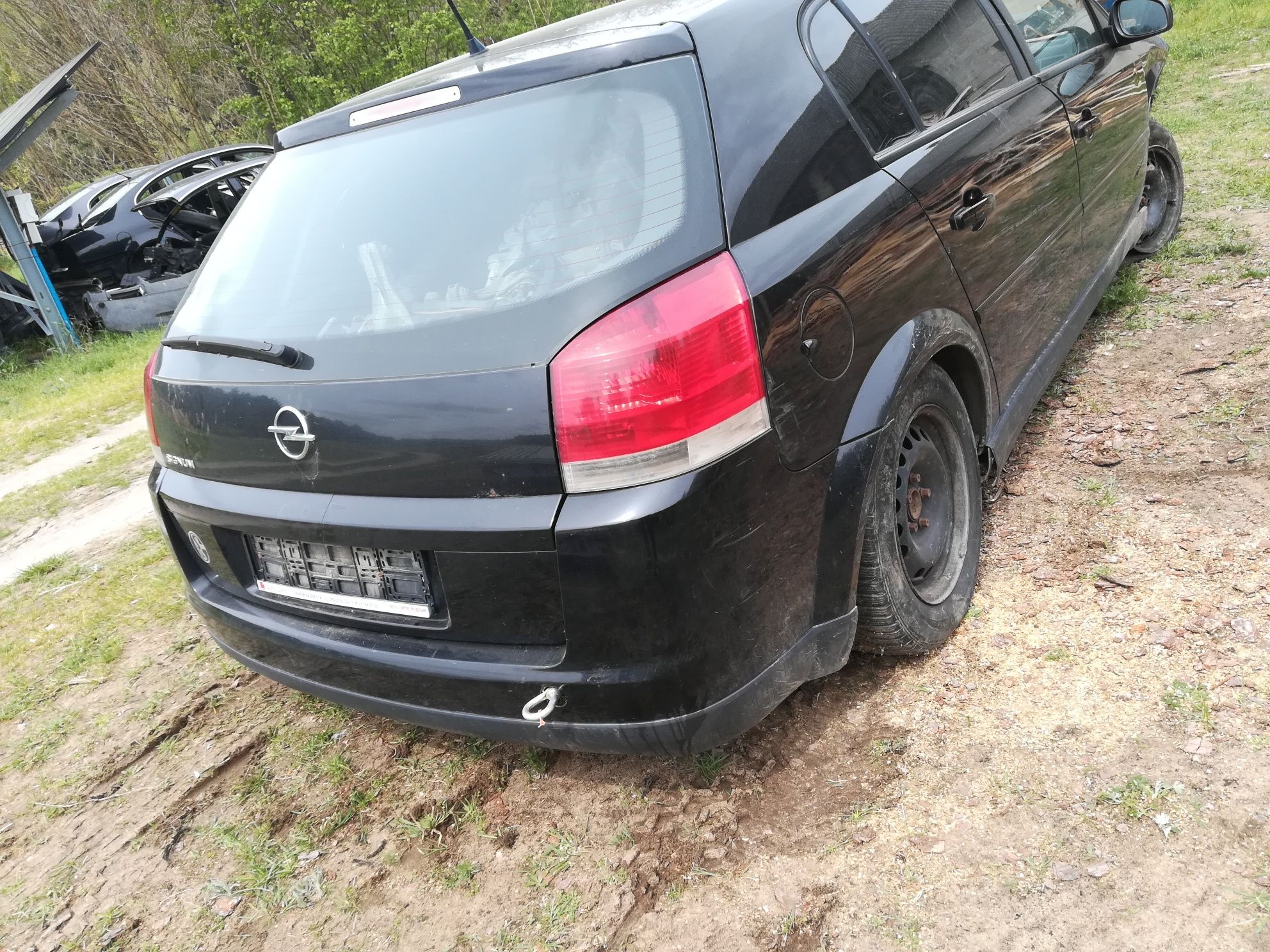 Drzwi Opel signum kod lakieru Z20r