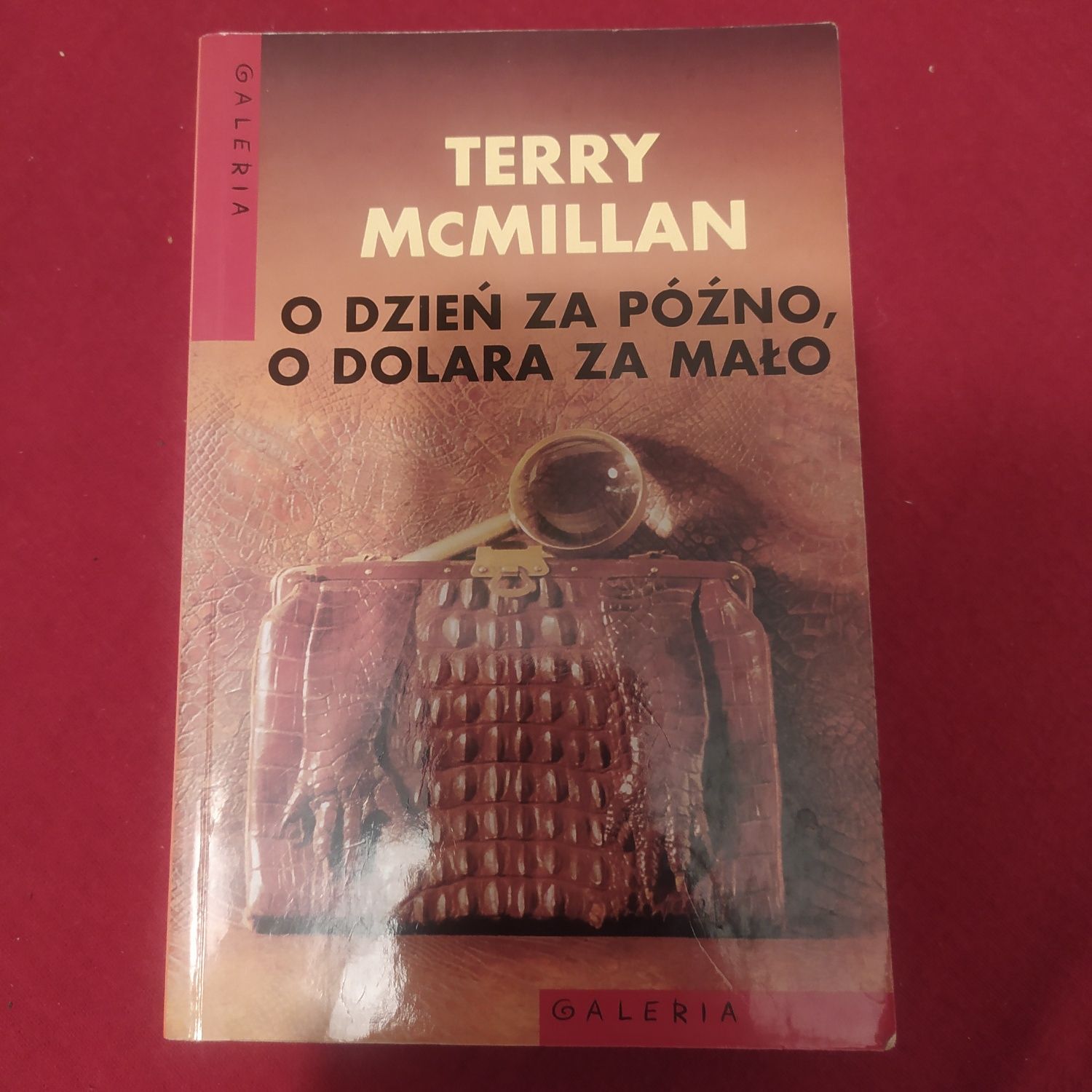 O dzień za późno, o dolara za mało - Terry McMillan