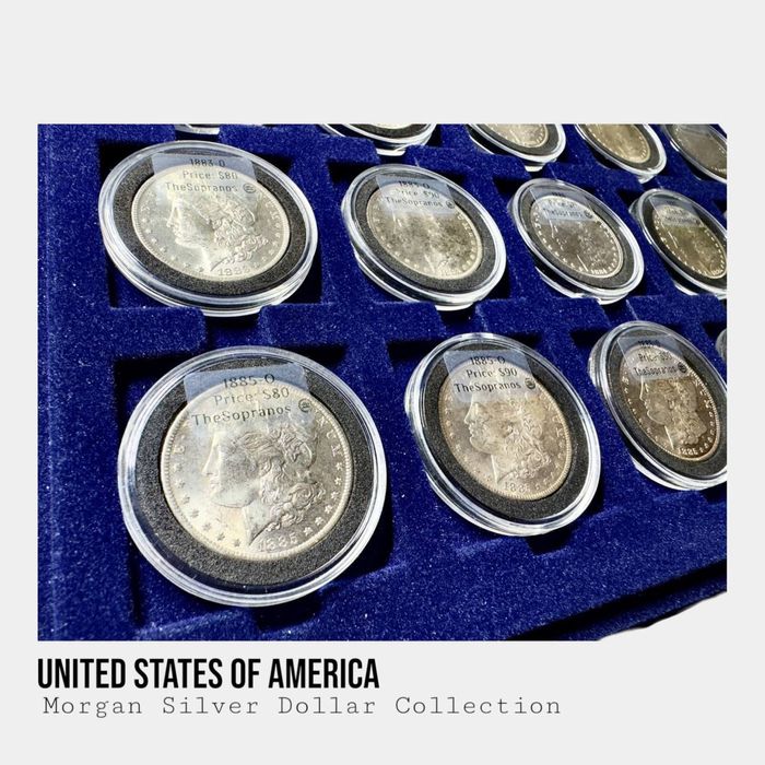 Срібні долари Morgan — різні роки, в наявності | колекційні монети США