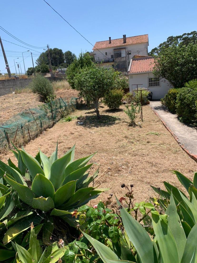 Limpeza de terreno e garagem