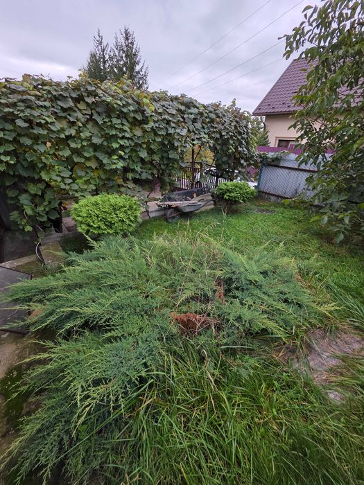 Будинок Ужгород Екологічно чистий район