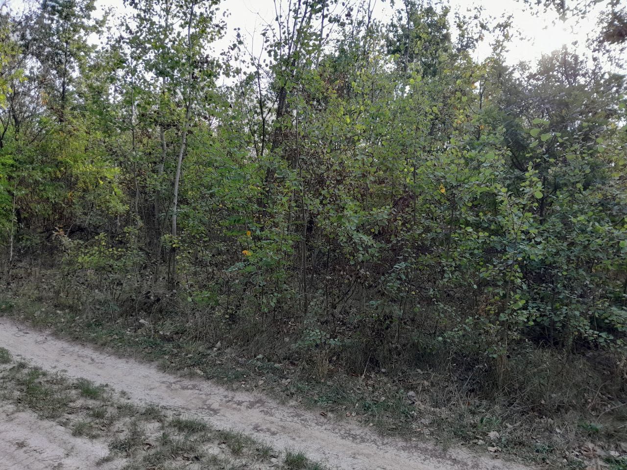 земельна ділянка