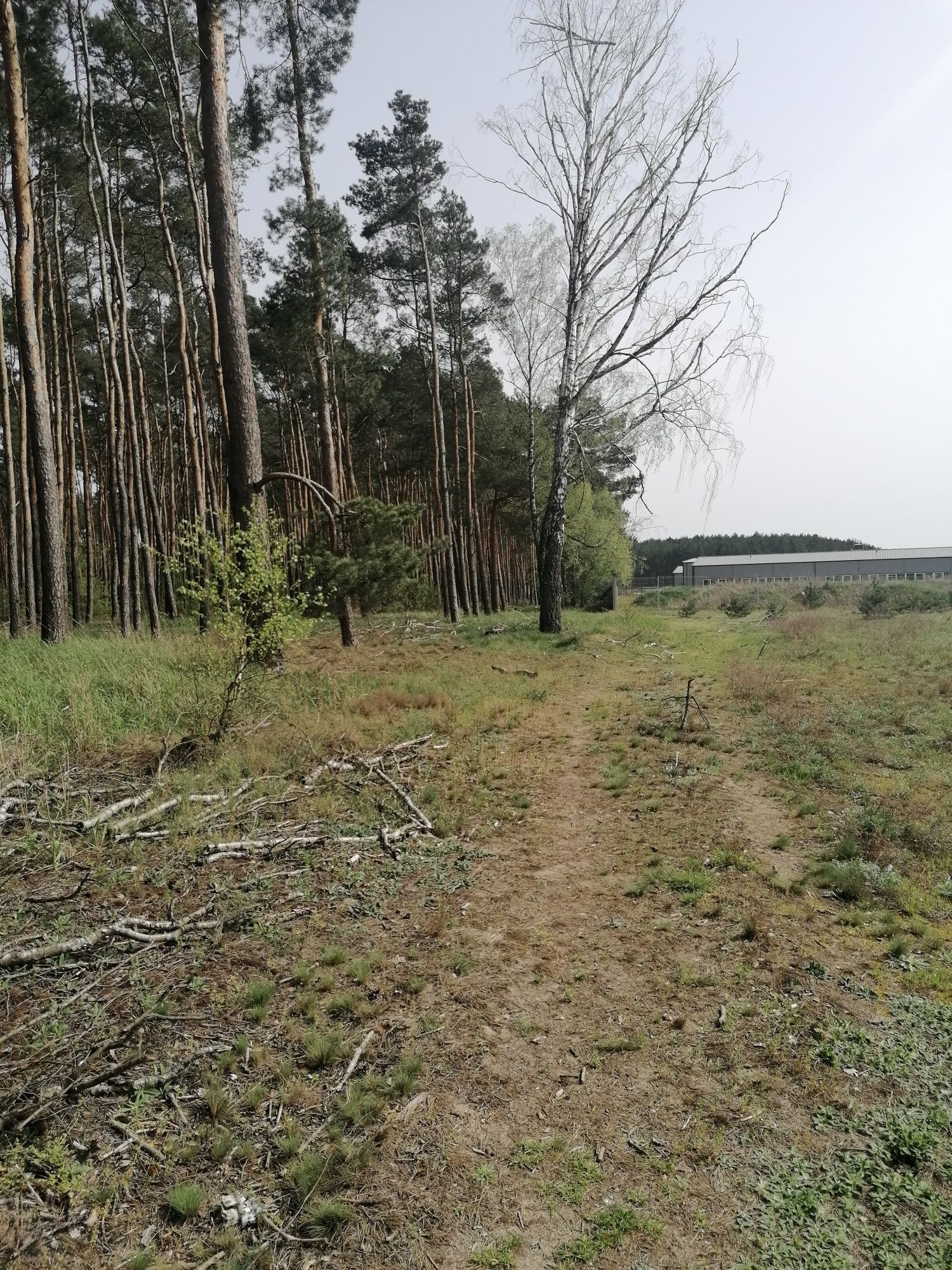 Sprzedam działkę w Kopaninie