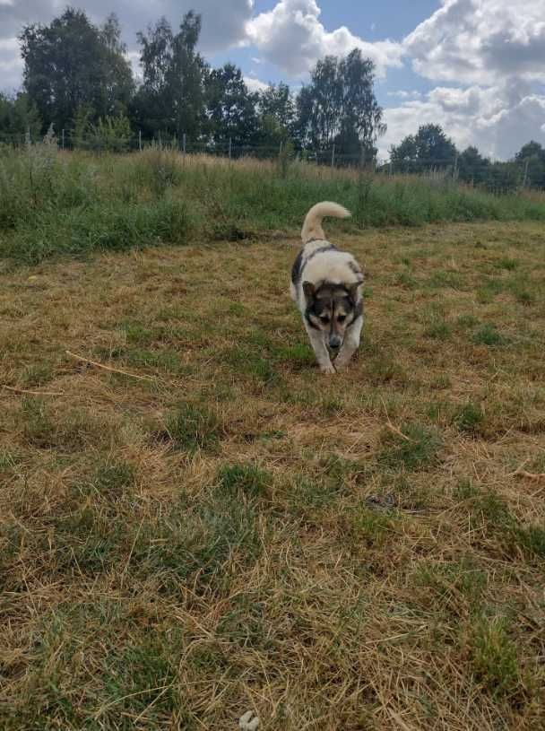 Zapomniany i niechciany Atos...