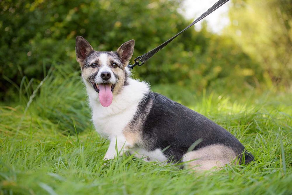 GAYA - spokojna, cichutka dla spokojnych ludzi