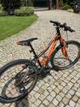 Rower KTM Wild Speed 26