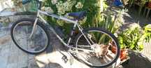 Bicicleta Shimano