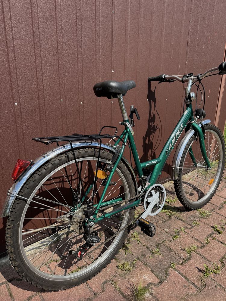 Rower damski Campus Victus, Shimano, 19”