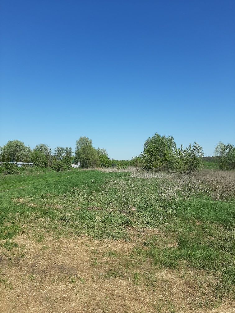 Земельна ділянка, садівництво, Гореничі