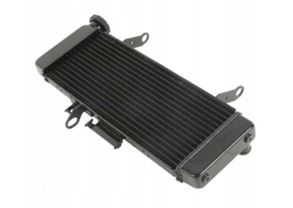 Chłodnica wody Suzuki SV650 Rok Produkcji 03-07