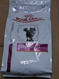Renal Select 4 kg kot Royal canin