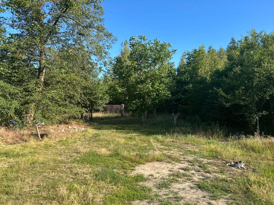 NOWA NIŻSZA CENA Działka 1600 m2 z domem w otulinie Kampinosu