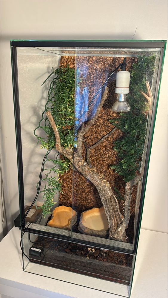 Sprzedam Terarium dla legwana bądź innego Gada