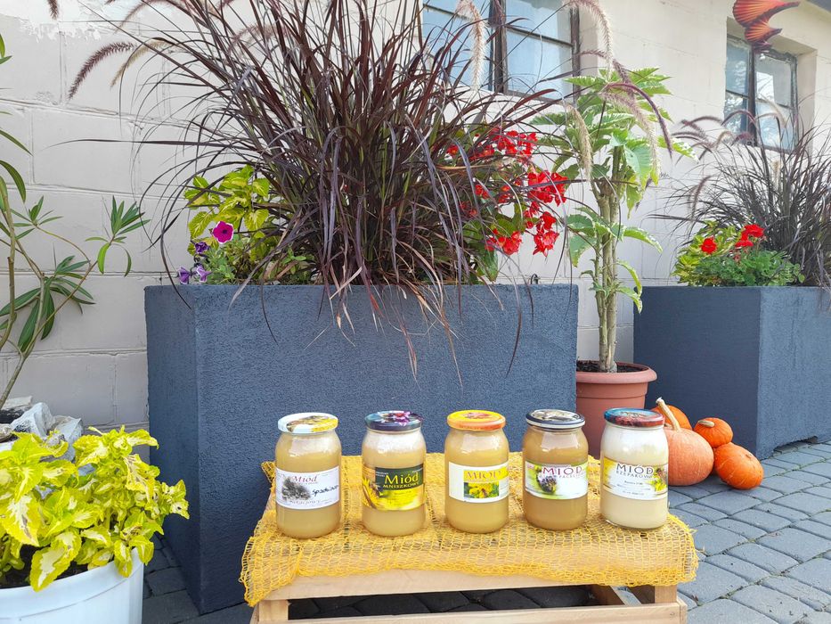 Miód rzepakowy 100 % naturalny 2025 r.