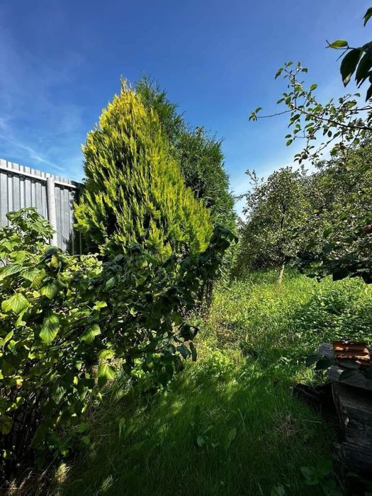 Продам! Незавершене будівництво! Царське село м.Шептицький