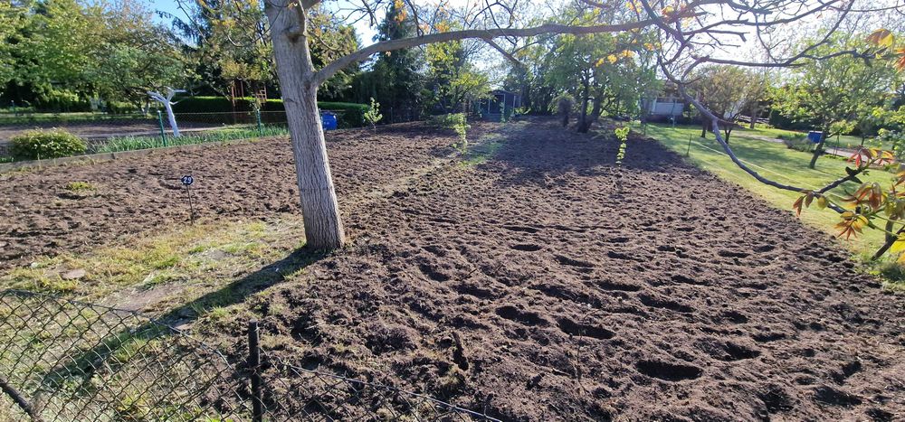 Koszenie trawy usługi ogrodowe Inowrocław i okolice