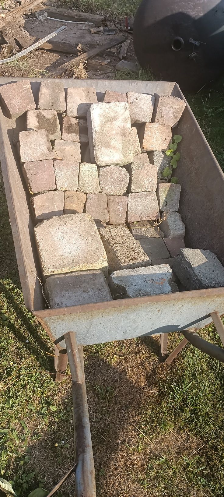 Kostka brukowa oddam za darmo