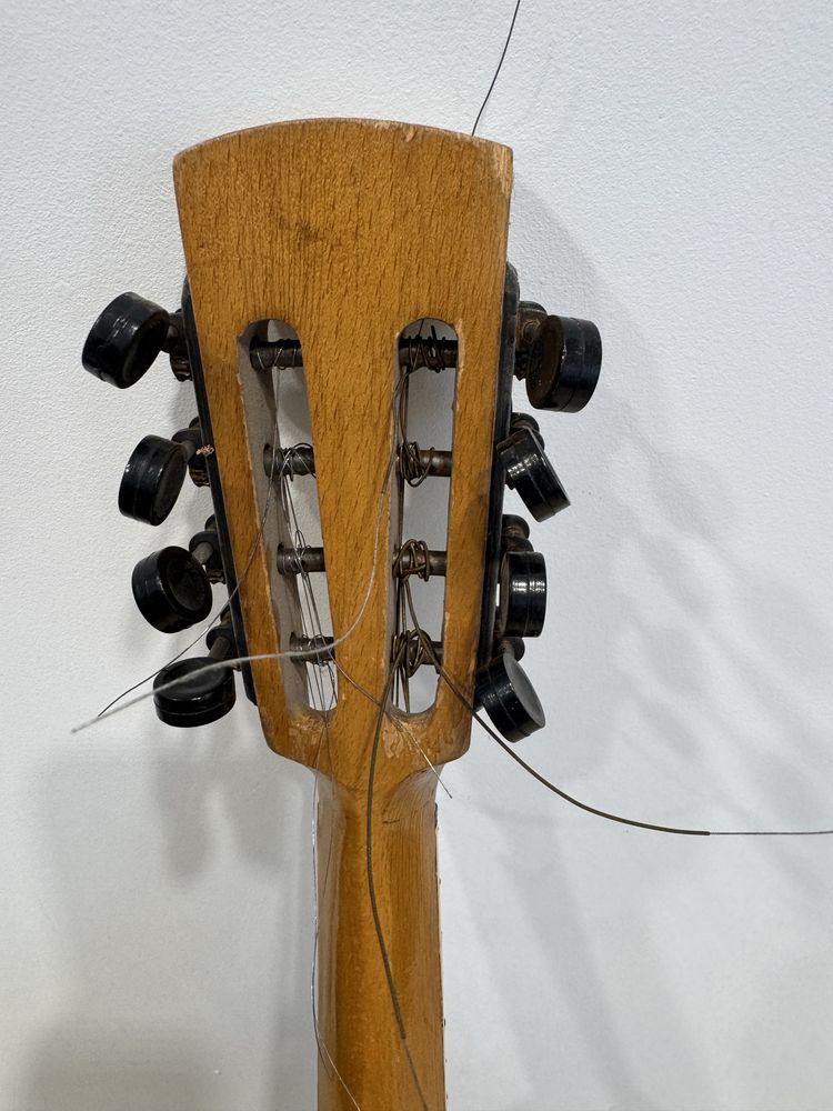 Mandolina mandolina